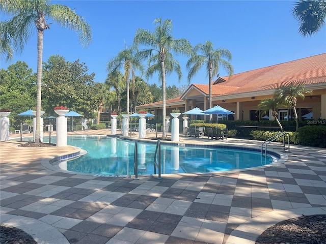 view of pool with a patio area