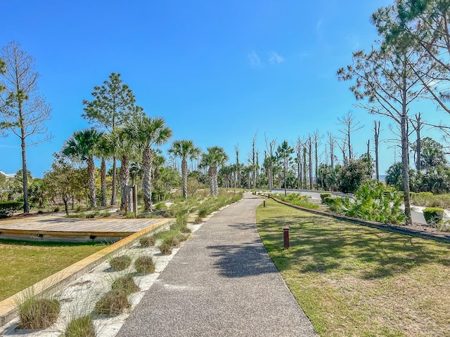 view of home's community with a yard