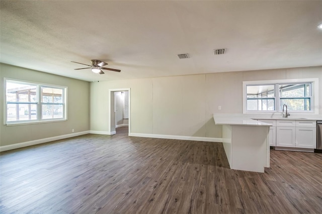 interior space featuring ceiling fan, sink, and dark wood-type flooring