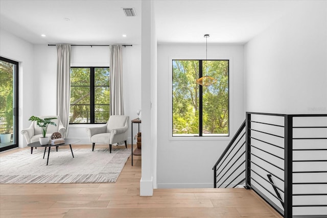 interior space featuring light hardwood / wood-style floors and a wealth of natural light