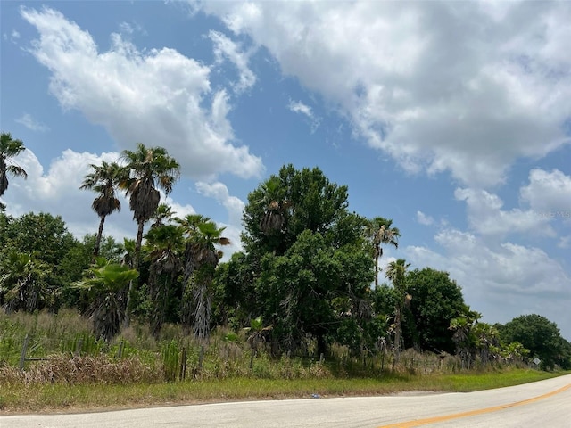 2244 Conerly Rd, Ona FL, 33865 land for sale