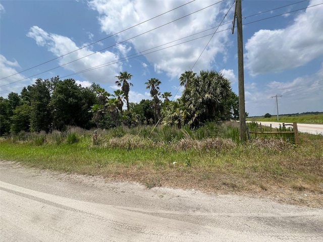 Listing photo 3 for 2244 Conerly Rd, Ona FL 33865