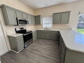 kitchen with dark hardwood / wood-style flooring, sink, gray cabinets, and appliances with stainless steel finishes