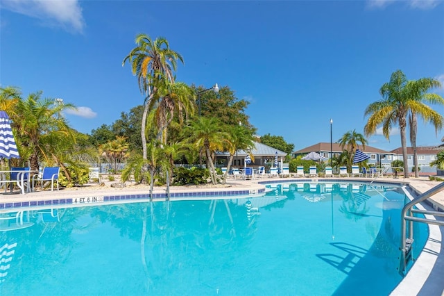 view of swimming pool