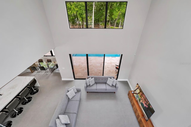 living room featuring a healthy amount of sunlight and a towering ceiling