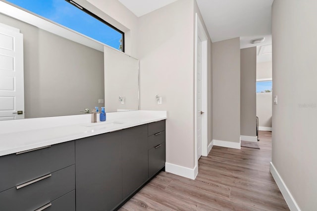 bathroom with hardwood / wood-style floors and vanity