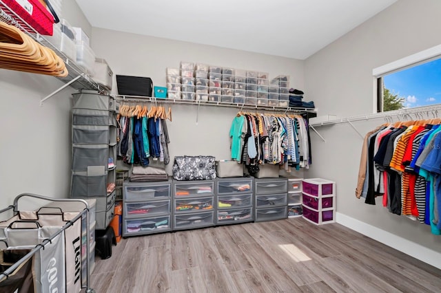 walk in closet featuring wood-type flooring