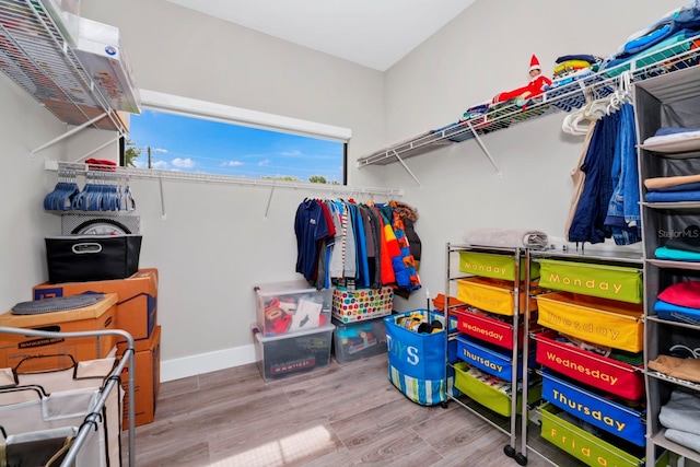 spacious closet with hardwood / wood-style flooring