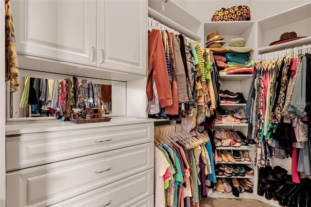 view of spacious closet