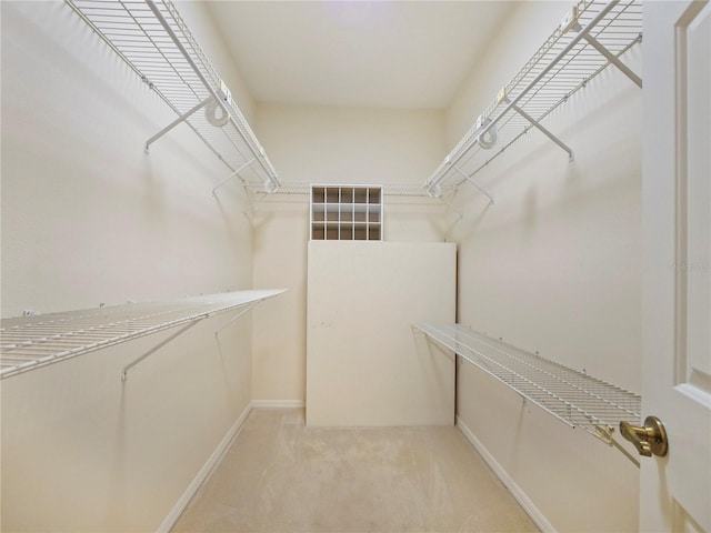 walk in closet featuring carpet flooring