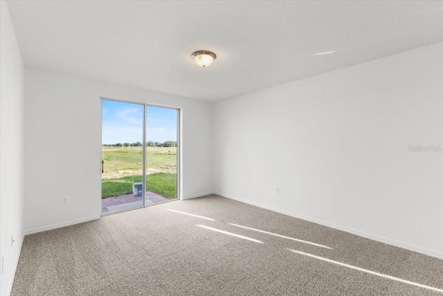 spare room featuring carpet floors