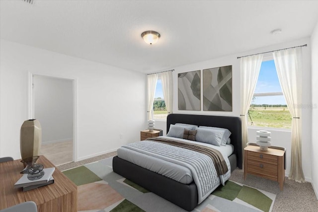 2466 Leeds St, Haines City, FL 33844 - carpeted bedroom with baseboards and multiple windows