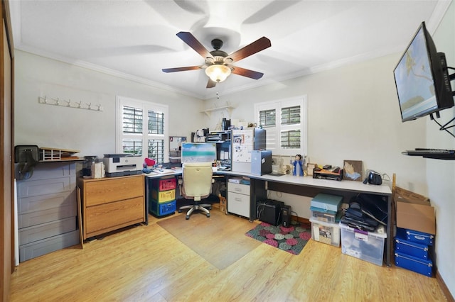 home office with a wealth of natural light, light wood-type flooring, and ornamental molding