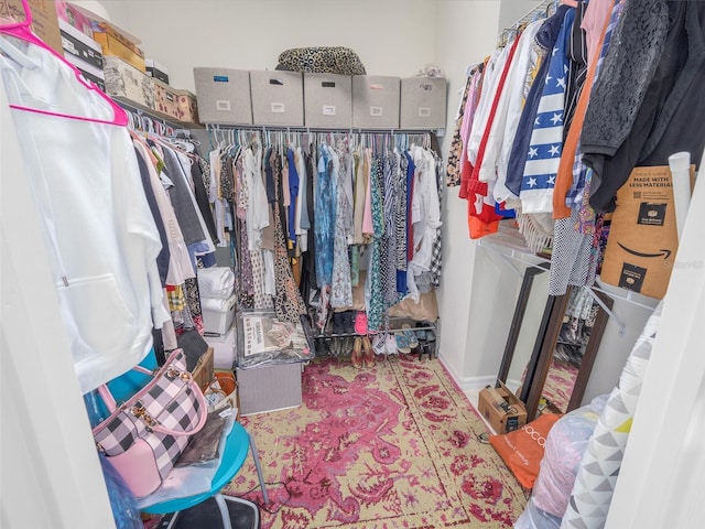 view of spacious closet