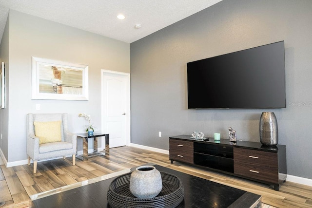 living room with light hardwood / wood-style floors