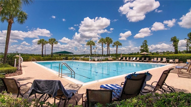 view of pool featuring a patio