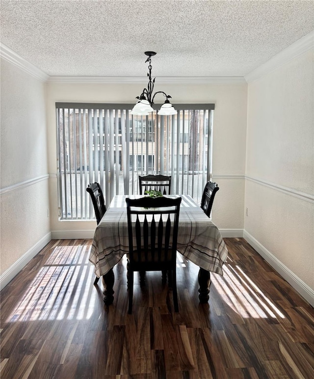 dining room with ornamental molding, dark hardwood / wood-style flooring, and a wealth of natural light