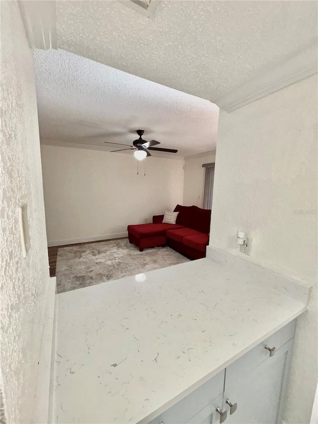 interior space featuring ceiling fan, ornamental molding, and a textured ceiling