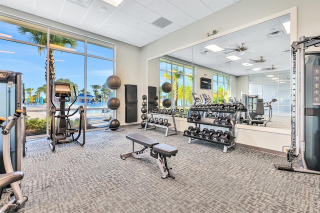 gym with a healthy amount of sunlight, carpet floors, ceiling fan, and a drop ceiling