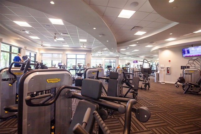 gym featuring ceiling fan, plenty of natural light, a drop ceiling, and dark colored carpet