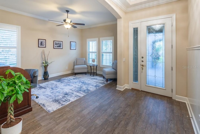 foyer with ceiling fan, dark hardwood / wood-style flooring, and ornamental molding