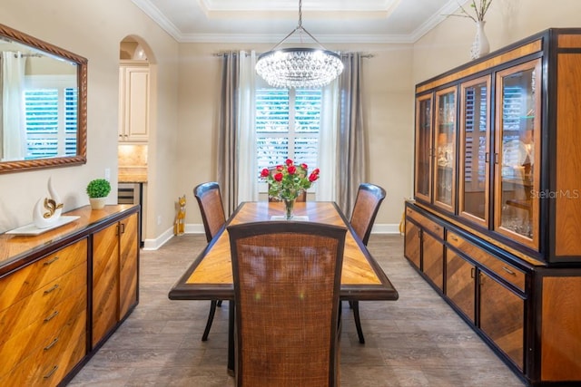 dining area with a tray ceiling, dark hardwood / wood-style flooring, and a wealth of natural light