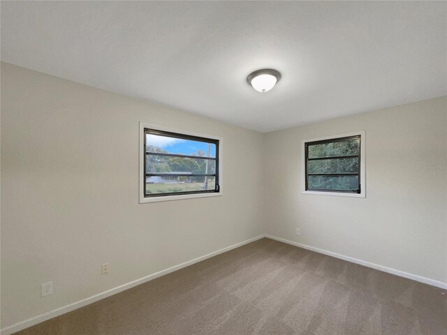 unfurnished room with carpet flooring