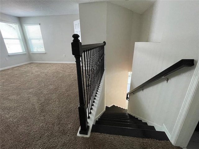 stairway with carpet