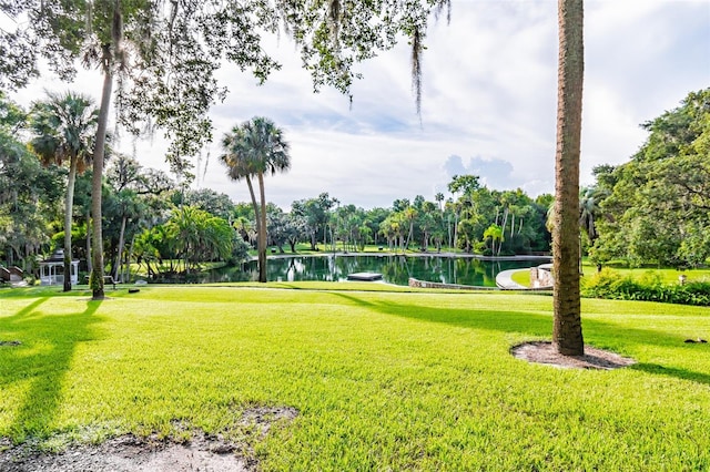 view of property's community featuring a water view and a yard