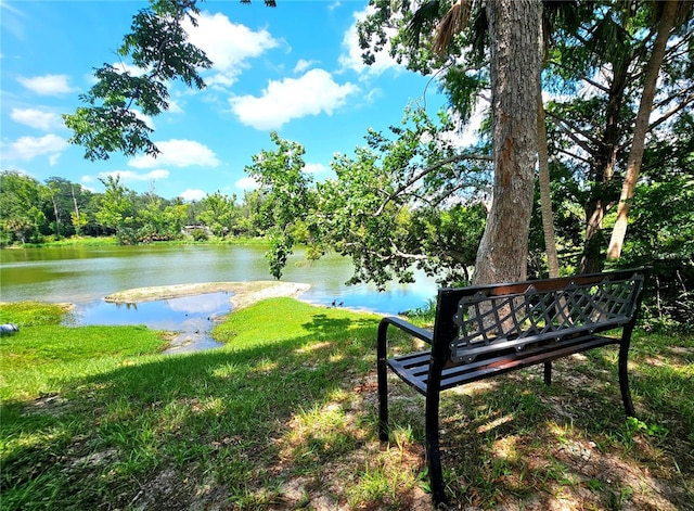 view of water feature