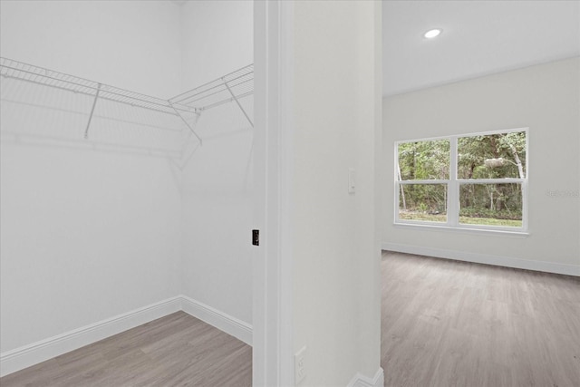 walk in closet with light wood-type flooring