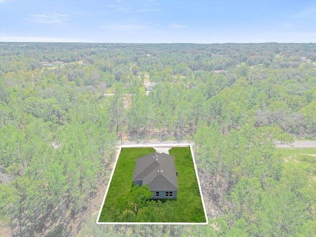 95 Malauka Place Trak, Ocklawaha, FL 32179 - photo 30