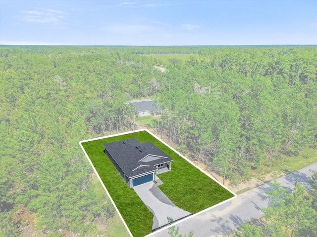 95 Malauka Place Trak, Ocklawaha, FL 32179 - photo 27