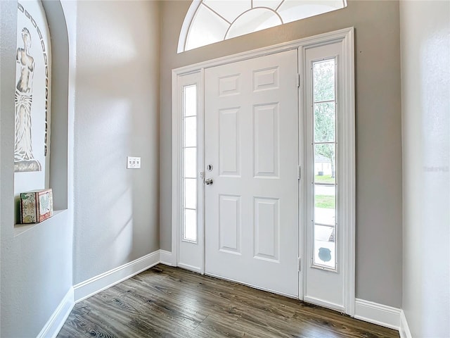 entrance foyer with wood-type flooring and a wealth of natural light