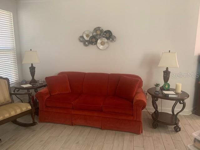 living room with hardwood / wood-style floors