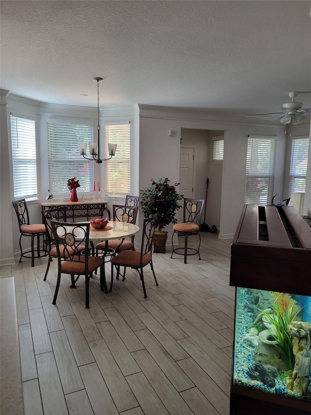 dining area with plenty of natural light, light hardwood / wood-style floors, and a textured ceiling