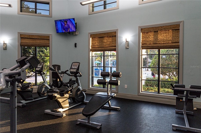 exercise room featuring plenty of natural light