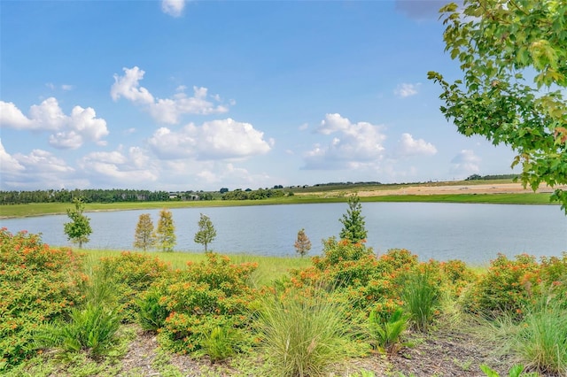5115 Lake Hamlin Trl, Winter Garden, FL 34787 - view of water feature