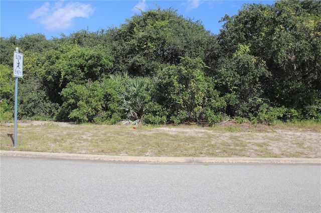 32 Mar Azul N, Ponce Inlet FL, 32127 land for sale