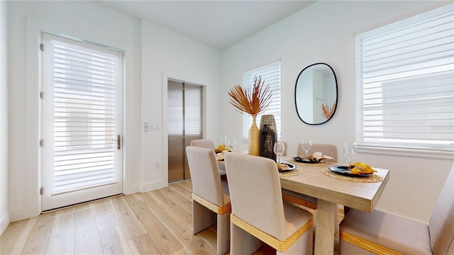 dining room featuring light wood-type flooring and a wealth of natural light