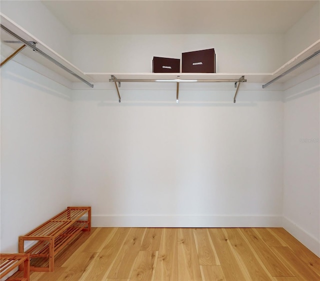 walk in closet with wood-type flooring