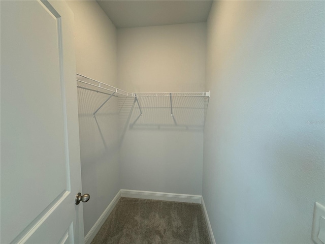 walk in closet with dark colored carpet