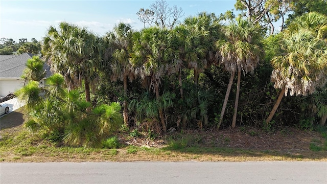 15264 Community Ave, Port Charlotte FL, 33953 land for sale