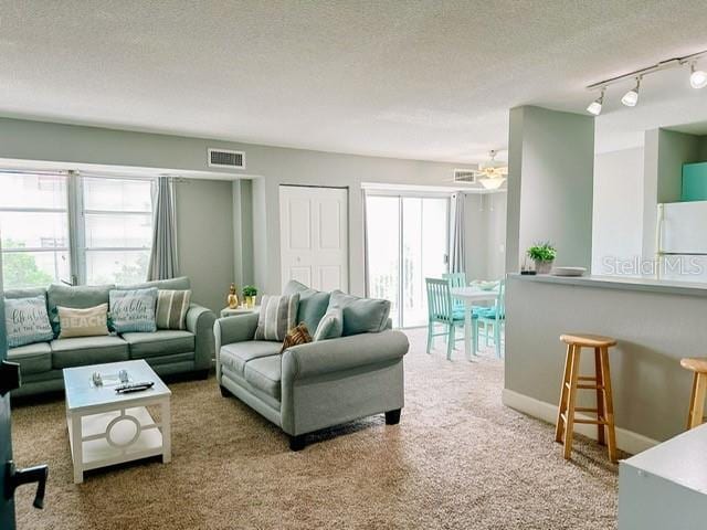 carpeted living room featuring a textured ceiling and track lighting