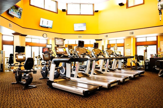 workout area with a towering ceiling and carpet flooring