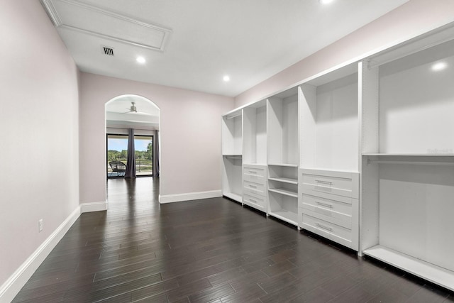 spacious closet featuring dark wood-type flooring