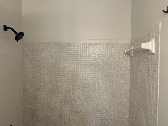 interior details with tiled shower