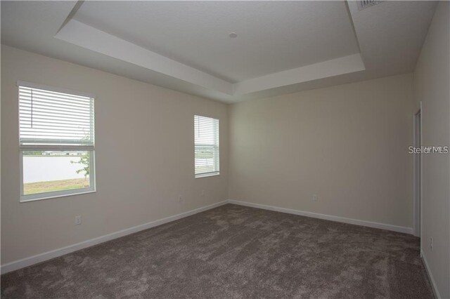 carpeted spare room featuring a tray ceiling