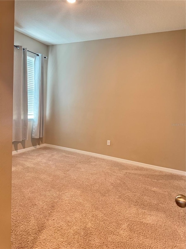 spare room with carpet and a textured ceiling