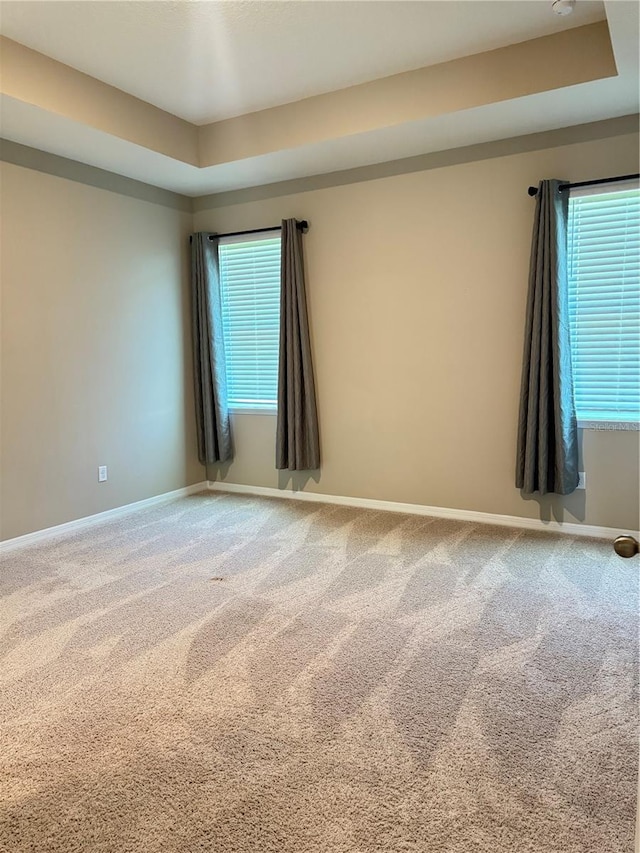 spare room featuring carpet flooring and a tray ceiling